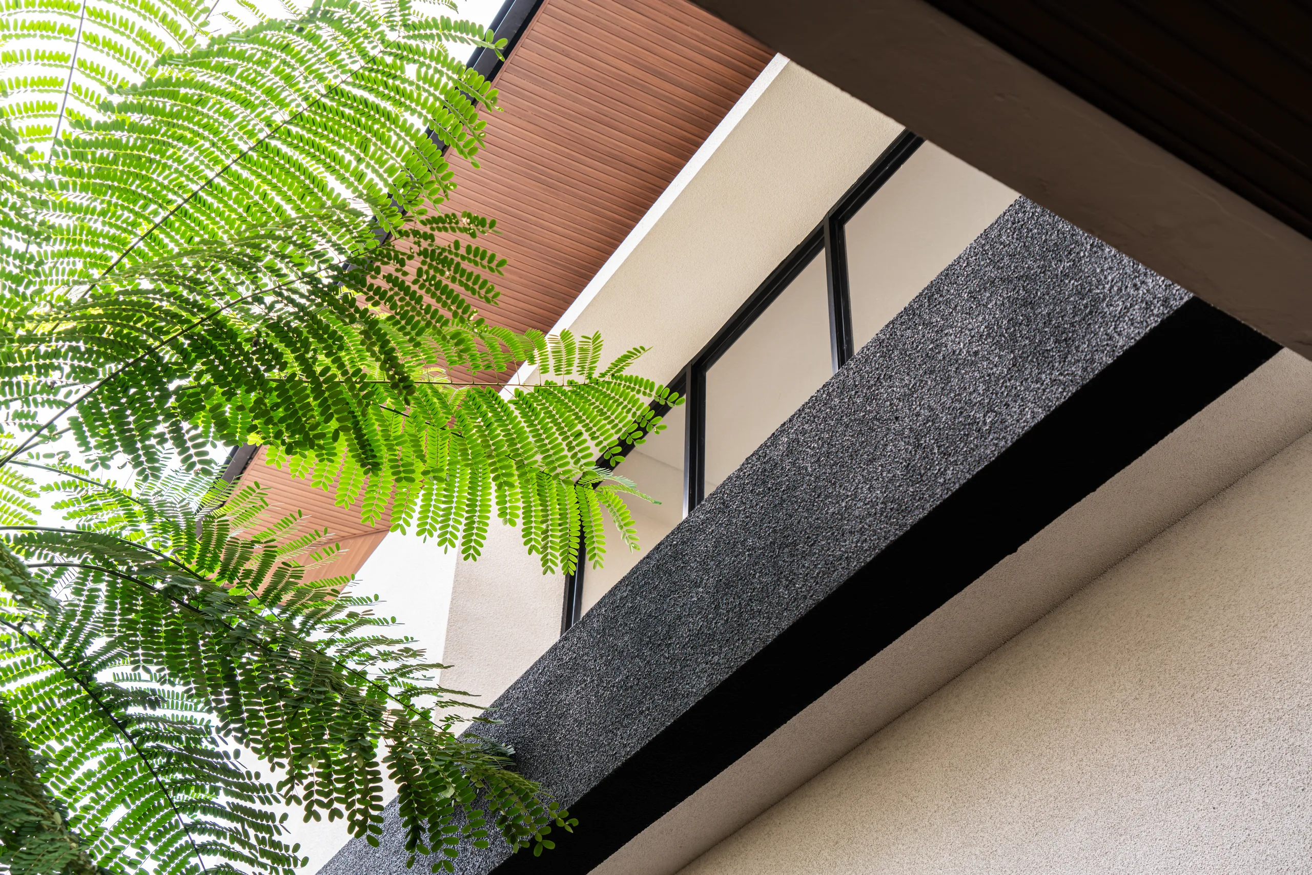 AM House gallery photo 3