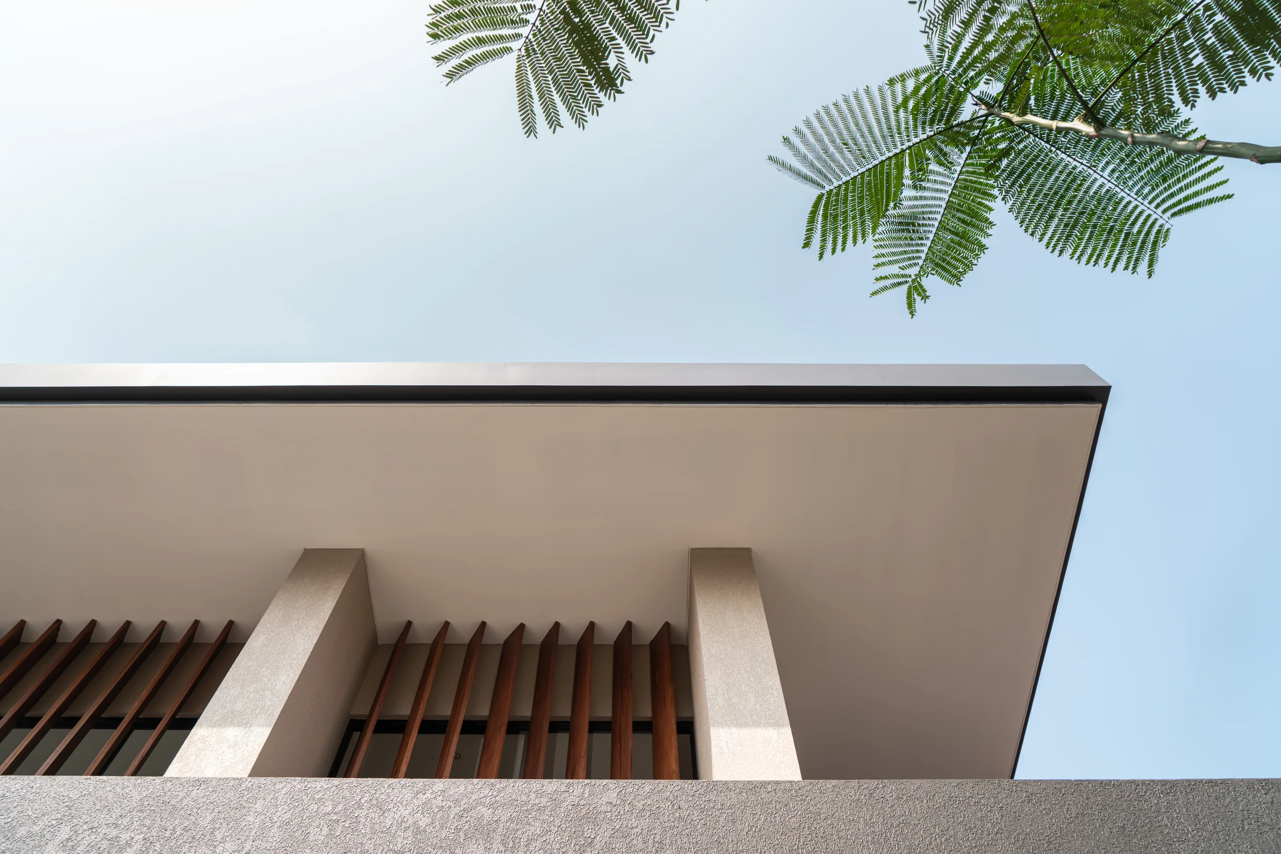 Louver House gallery photo 4