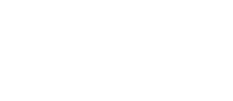 Robin Nolan Logo