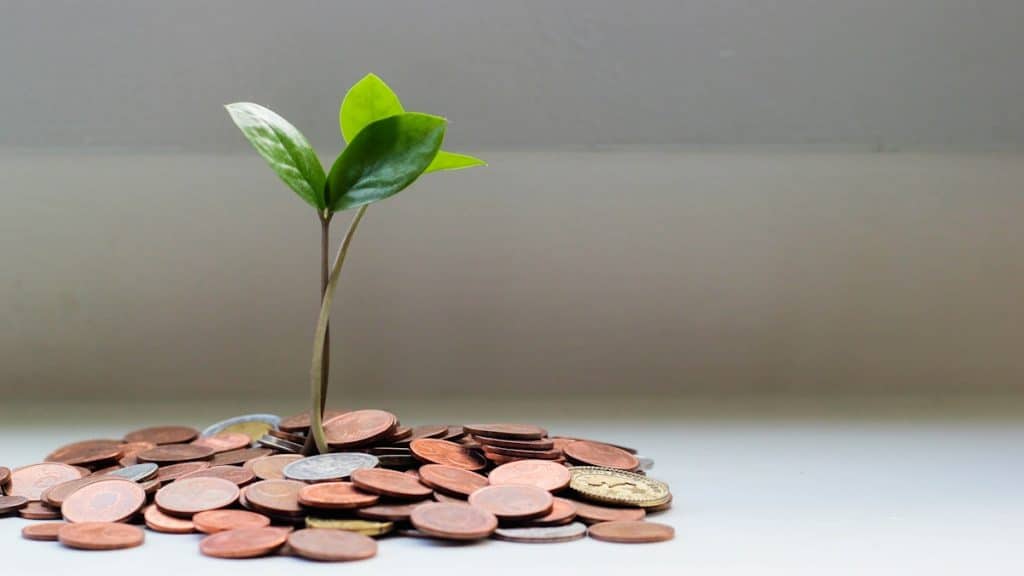 How Much Does a WordPress Website Cost in the Philippines in 2026?